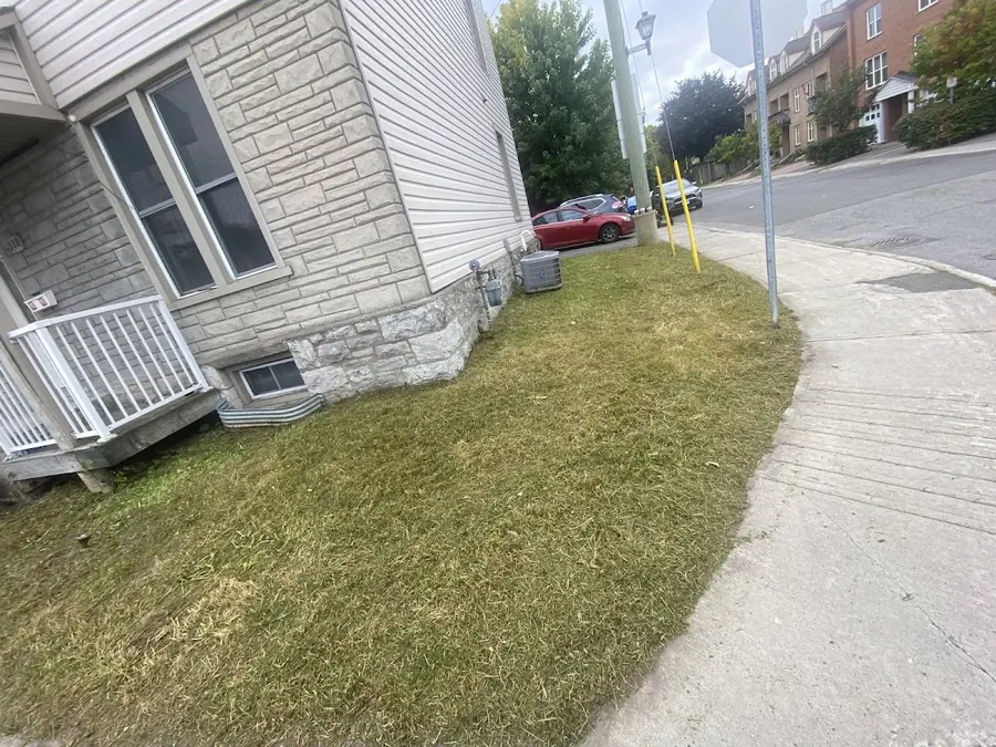 Short-cut lawn on a corner lot beside a stone house and sidewalk