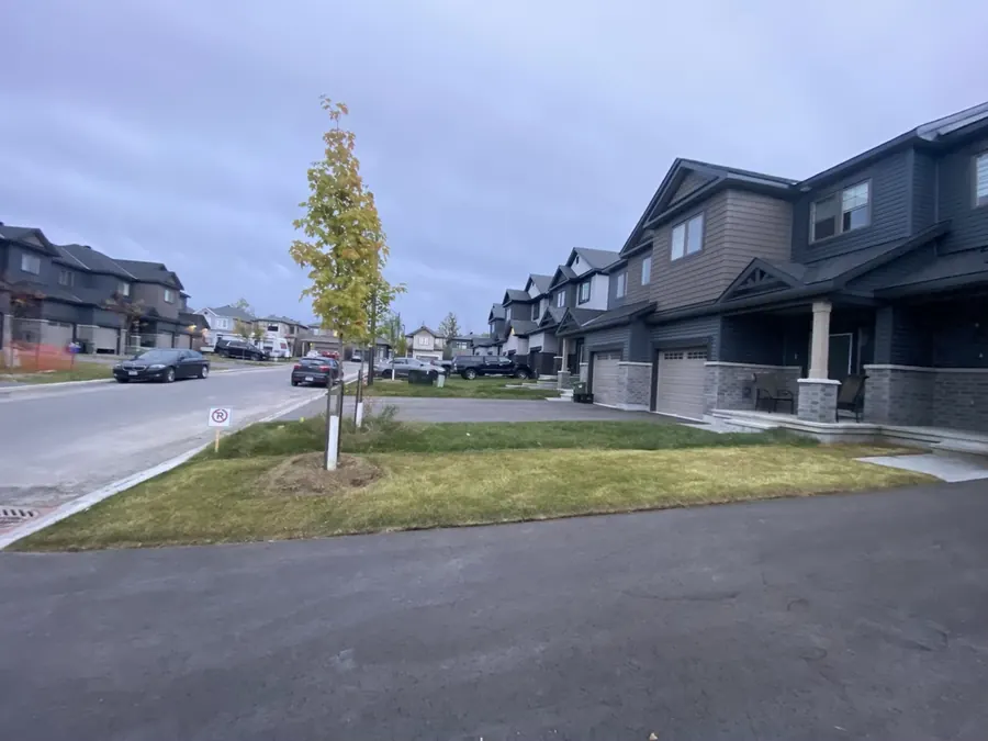 A front lawn with a young tree beside a driveway and a row of homes