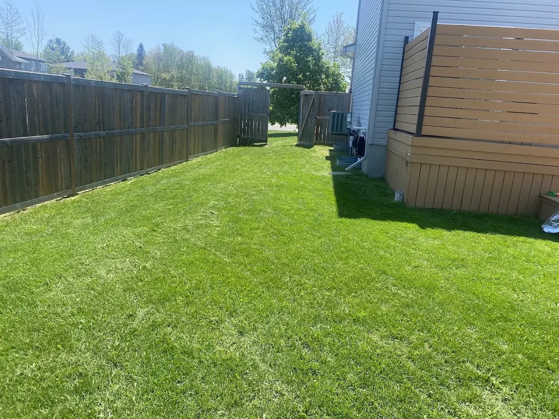 A freshly mowed strip of lawn running along a wooden fence in full sun