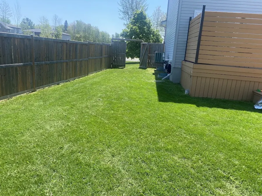 A mowed lawn lane running along a wooden fence